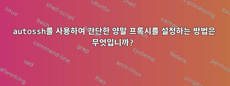 autossh를 사용하여 간단한 양말 프록시를 설정하는 방법은 무엇입니까?