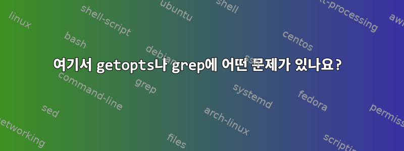 여기서 getopts나 grep에 어떤 문제가 있나요?