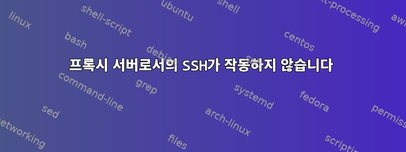 프록시 서버로서의 SSH가 작동하지 않습니다