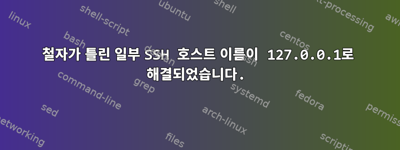 철자가 틀린 일부 SSH 호스트 이름이 127.0.0.1로 해결되었습니다.