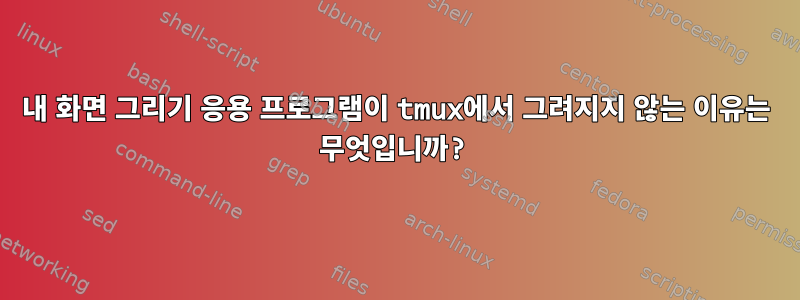 내 화면 그리기 응용 프로그램이 tmux에서 그려지지 않는 이유는 무엇입니까?