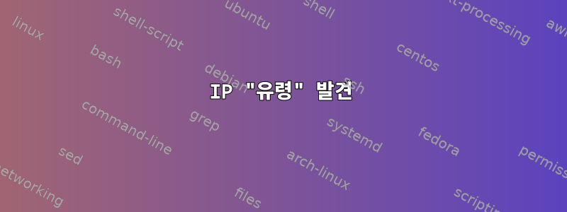 IP "유령" 발견