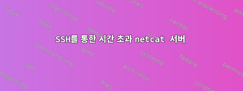 SSH를 통한 시간 초과 netcat 서버