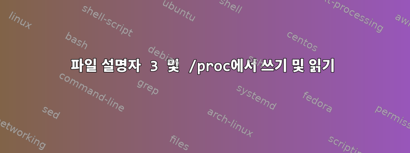 파일 설명자 3 및 /proc에서 쓰기 및 읽기