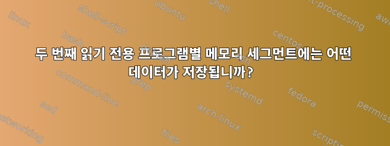 두 번째 읽기 전용 프로그램별 메모리 세그먼트에는 어떤 데이터가 저장됩니까?