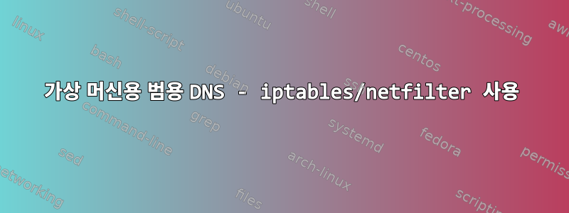 가상 머신용 범용 DNS - iptables/netfilter 사용