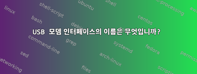 USB 모뎀 인터페이스의 이름은 무엇입니까?