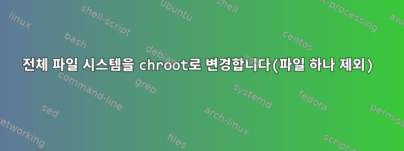 전체 파일 시스템을 chroot로 변경합니다(파일 하나 제외)