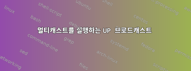 멀티캐스트를 실행하는 UP 브로드캐스트