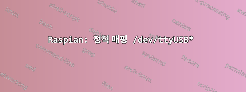 Raspian: 정적 매핑 /dev/ttyUSB*