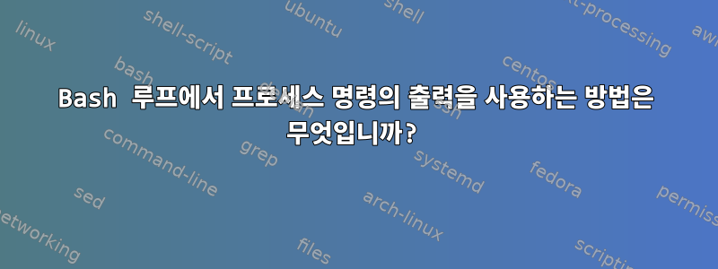 Bash 루프에서 프로세스 명령의 출력을 사용하는 방법은 무엇입니까?