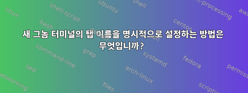 새 그놈 터미널의 탭 이름을 명시적으로 설정하는 방법은 무엇입니까?