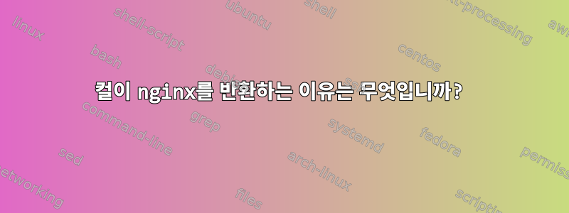 컬이 nginx를 반환하는 이유는 무엇입니까?