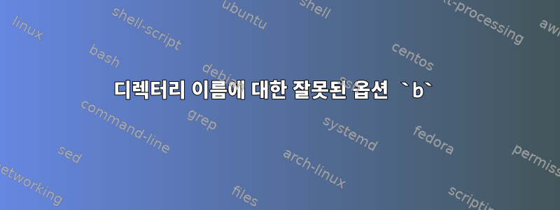 디렉터리 이름에 대한 잘못된 옵션 `b`