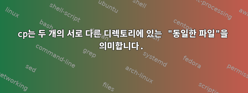 cp는 두 개의 서로 다른 디렉토리에 있는 "동일한 파일"을 의미합니다.