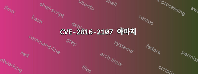 CVE-2016-2107 아파치