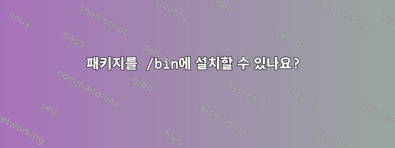 패키지를 /bin에 설치할 수 있나요?