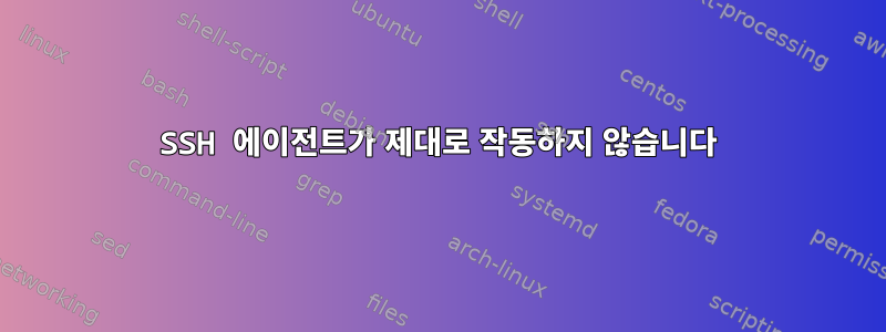 SSH 에이전트가 제대로 작동하지 않습니다