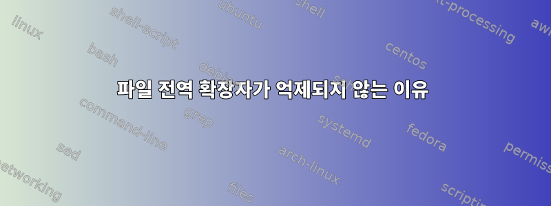 파일 전역 확장자가 억제되지 않는 이유