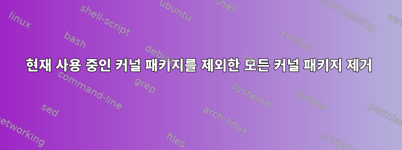 현재 사용 중인 커널 패키지를 제외한 모든 커널 패키지 제거