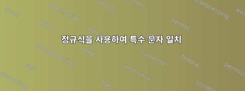 정규식을 사용하여 특수 문자 일치