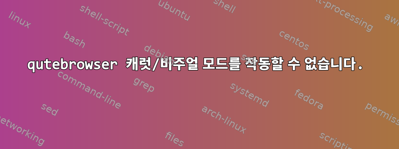 qutebrowser 캐럿/비주얼 모드를 작동할 수 없습니다.