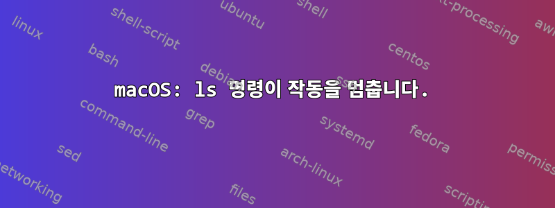 macOS: ls 명령이 작동을 멈춥니다.