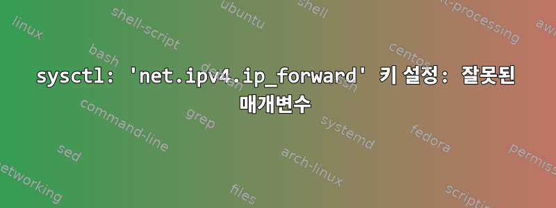 sysctl: 'net.ipv4.ip_forward' 키 설정: 잘못된 매개변수