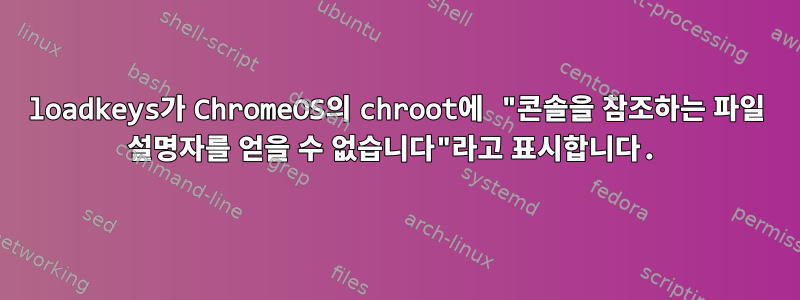 loadkeys가 ChromeOS의 chroot에 "콘솔을 참조하는 파일 설명자를 얻을 수 없습니다"라고 표시합니다.