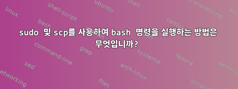 sudo 및 scp를 사용하여 bash 명령을 실행하는 방법은 무엇입니까?