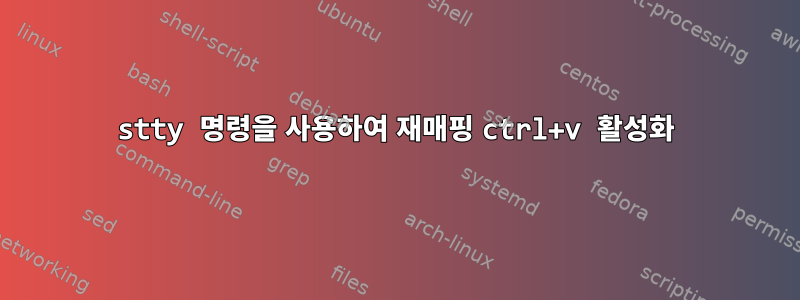 stty 명령을 사용하여 재매핑 ctrl+v 활성화