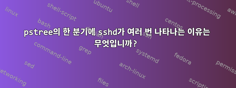 pstree의 한 분기에 sshd가 여러 번 나타나는 이유는 무엇입니까?