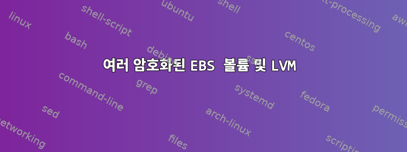 여러 암호화된 EBS 볼륨 및 LVM