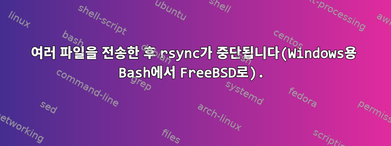 여러 파일을 전송한 후 rsync가 중단됩니다(Windows용 Bash에서 FreeBSD로).