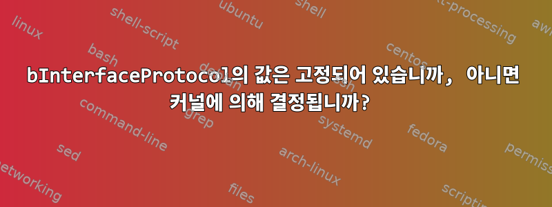 bInterfaceProtocol의 값은 고정되어 있습니까, 아니면 커널에 의해 결정됩니까?