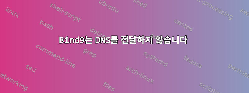 Bind9는 DNS를 전달하지 않습니다