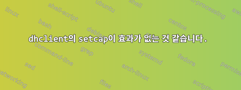 dhclient의 setcap이 효과가 없는 것 같습니다.