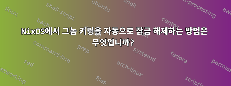 NixOS에서 그놈 키링을 자동으로 잠금 해제하는 방법은 무엇입니까?