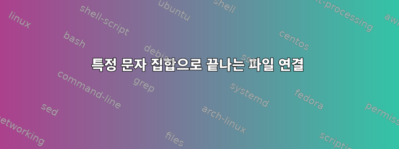 특정 문자 집합으로 끝나는 파일 연결