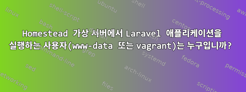 Homestead 가상 서버에서 Laravel 애플리케이션을 실행하는 사용자(www-data 또는 vagrant)는 누구입니까?