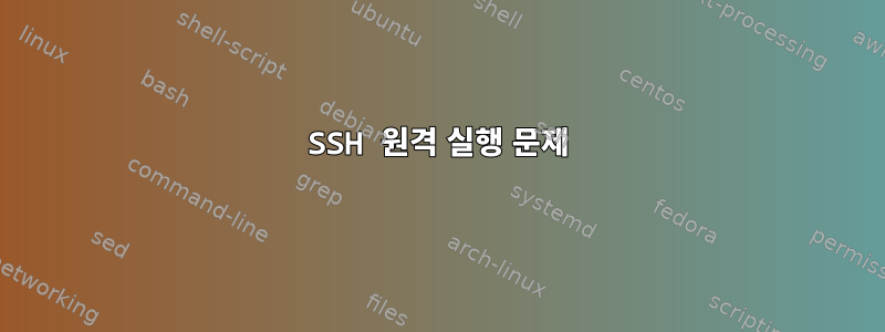 SSH 원격 실행 문제