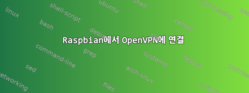 Raspbian에서 OpenVPN에 연결