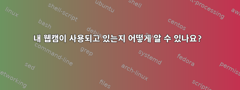 내 웹캠이 사용되고 있는지 어떻게 알 수 있나요?