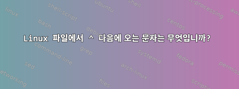 Linux 파일에서 ^ 다음에 오는 문자는 무엇입니까?