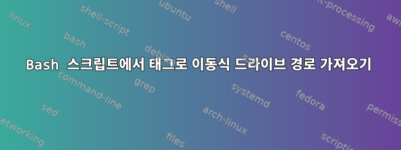 Bash 스크립트에서 태그로 이동식 드라이브 경로 가져오기