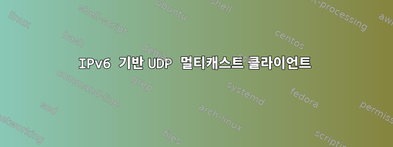 IPv6 기반 UDP 멀티캐스트 클라이언트