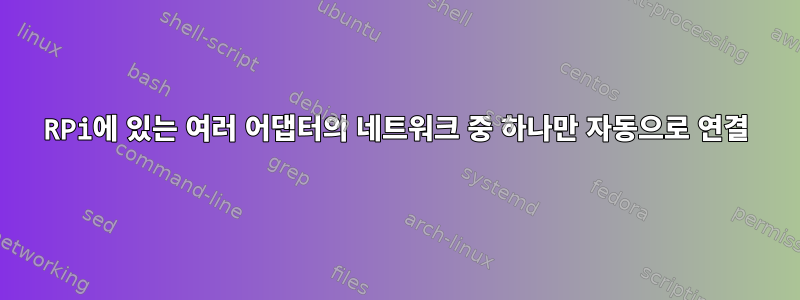 RPi에 있는 여러 어댑터의 네트워크 중 하나만 자동으로 연결