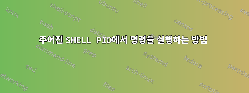 주어진 SHELL PID에서 명령을 실행하는 방법