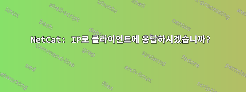 NetCat: IP로 클라이언트에 응답하시겠습니까?