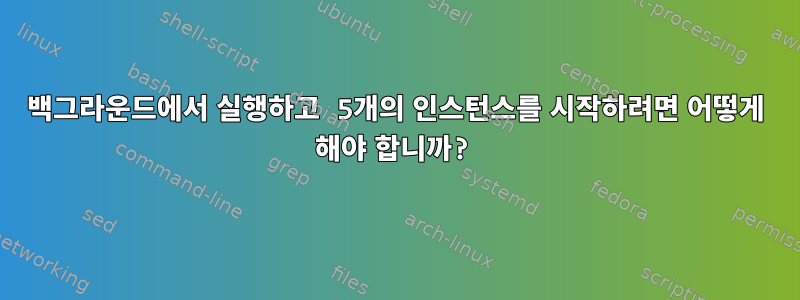 백그라운드에서 실행하고 5개의 인스턴스를 시작하려면 어떻게 해야 합니까?